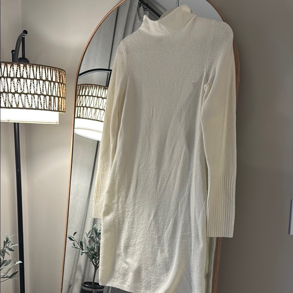 Express White Turtleneck Dress